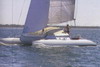 Cat Erector 33