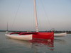 Newick 30