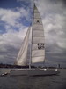 Trisail 21