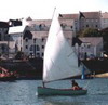 Monotype d'Arcachon